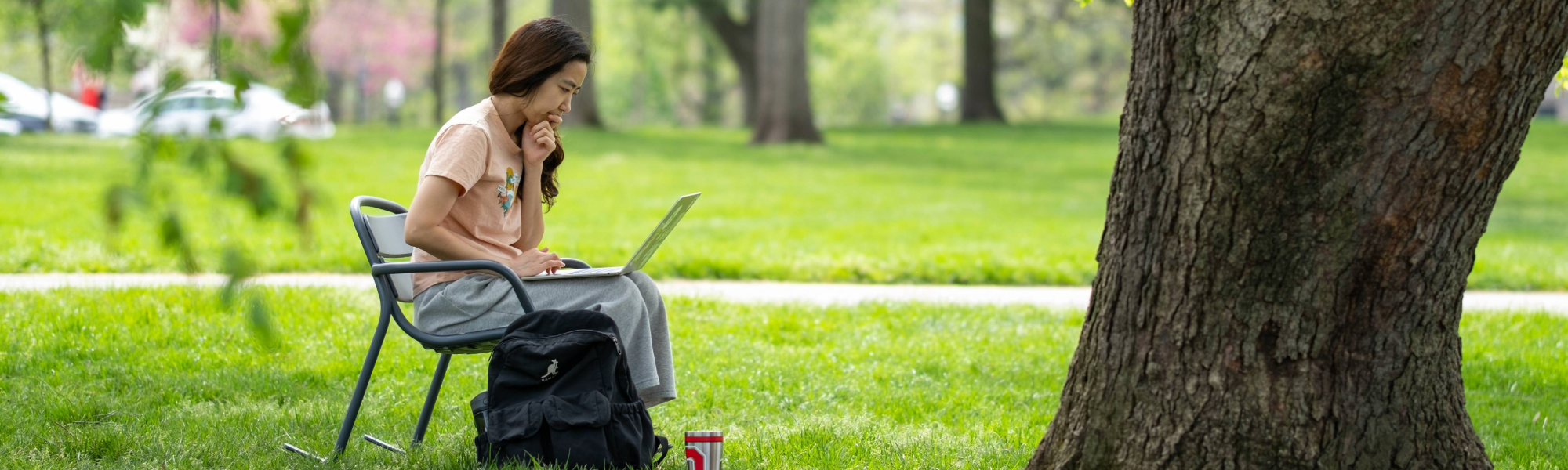 A person is sitting on a chair under a large tree in a park, using a laptop.